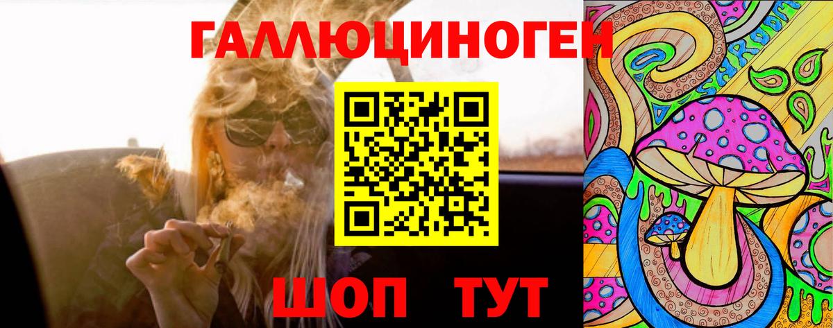 Псилоцибиновые грибы Psilocybine cubensis  Вход с VPN  Узловая  Галлюциногенные грибы мицелий 